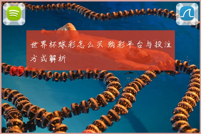 世界杯球彩怎么买 购彩平台与投注方式解析