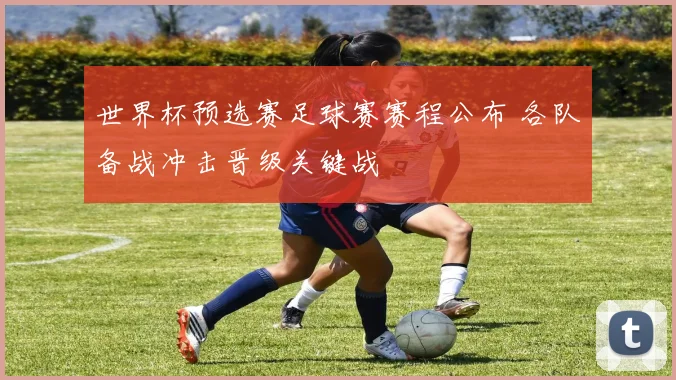 世界杯预选赛足球赛赛程公布 各队备战冲击晋级关键战