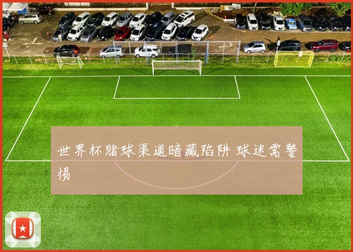 世界杯赌球渠道暗藏陷阱 球迷需警惕